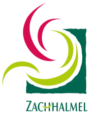 Zachhalmel